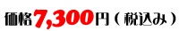 価格：7,300円（税込み）